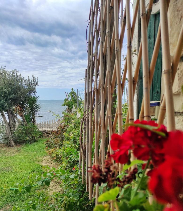 Kallmi View Eco Rooms Дуррес Екстер'єр фото